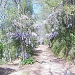 Montecasciano - Ginestra شقة