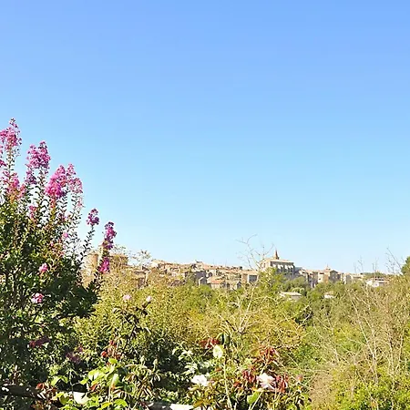 Montecasciano - Ginestra