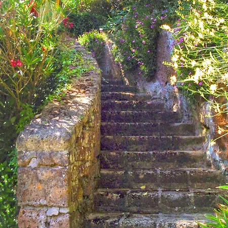 Montecasciano - Ginestra * Capranica