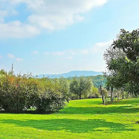 Apartment Montecasciano Ginestra *